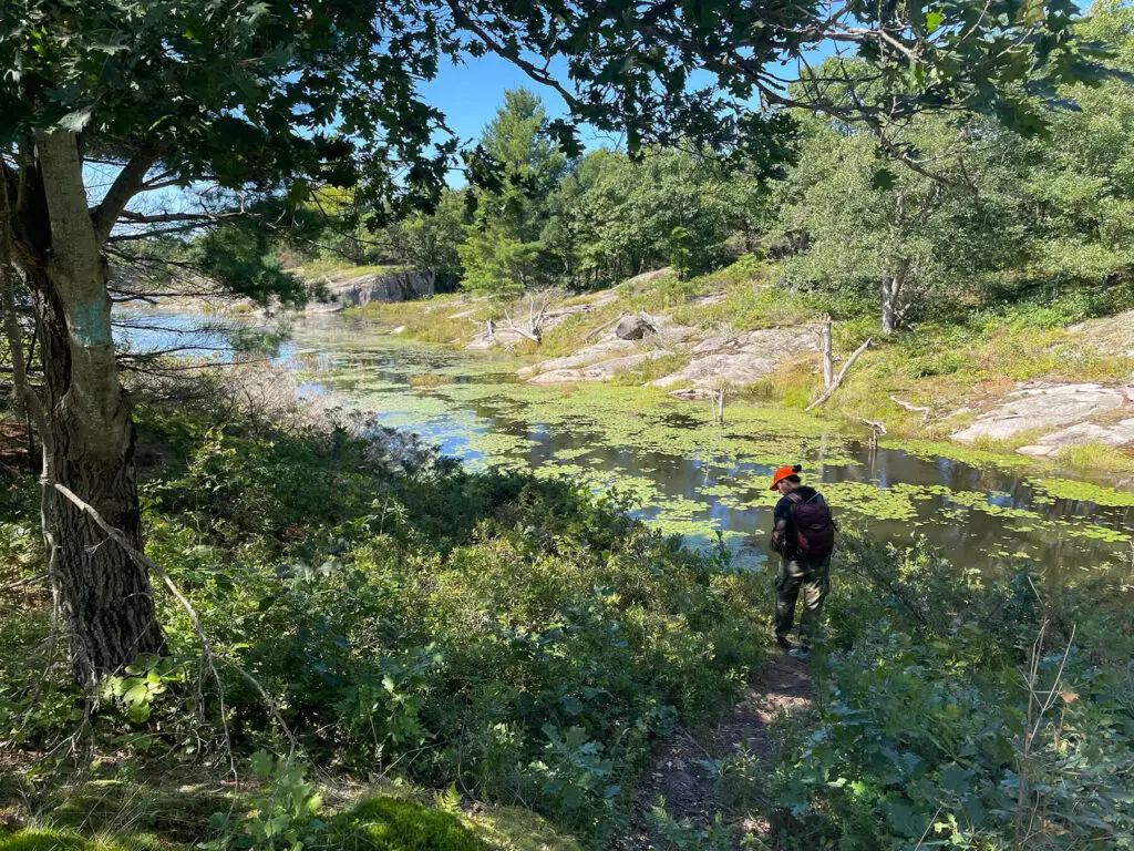 Laura Rose looks at plants at Sheffield Conservation Area