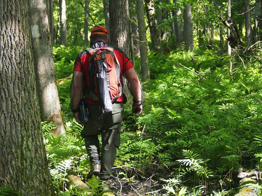 Jeff walks along a log in a swampy area at Bidwell Bog on Manitoulin Island