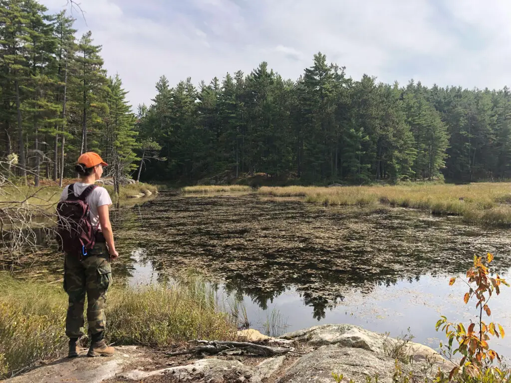 Laura looks out over a wetland near Limestone Lake