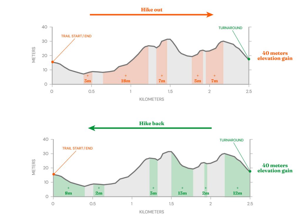 Graphs showing how elevation gain is calculated for an out and back hike