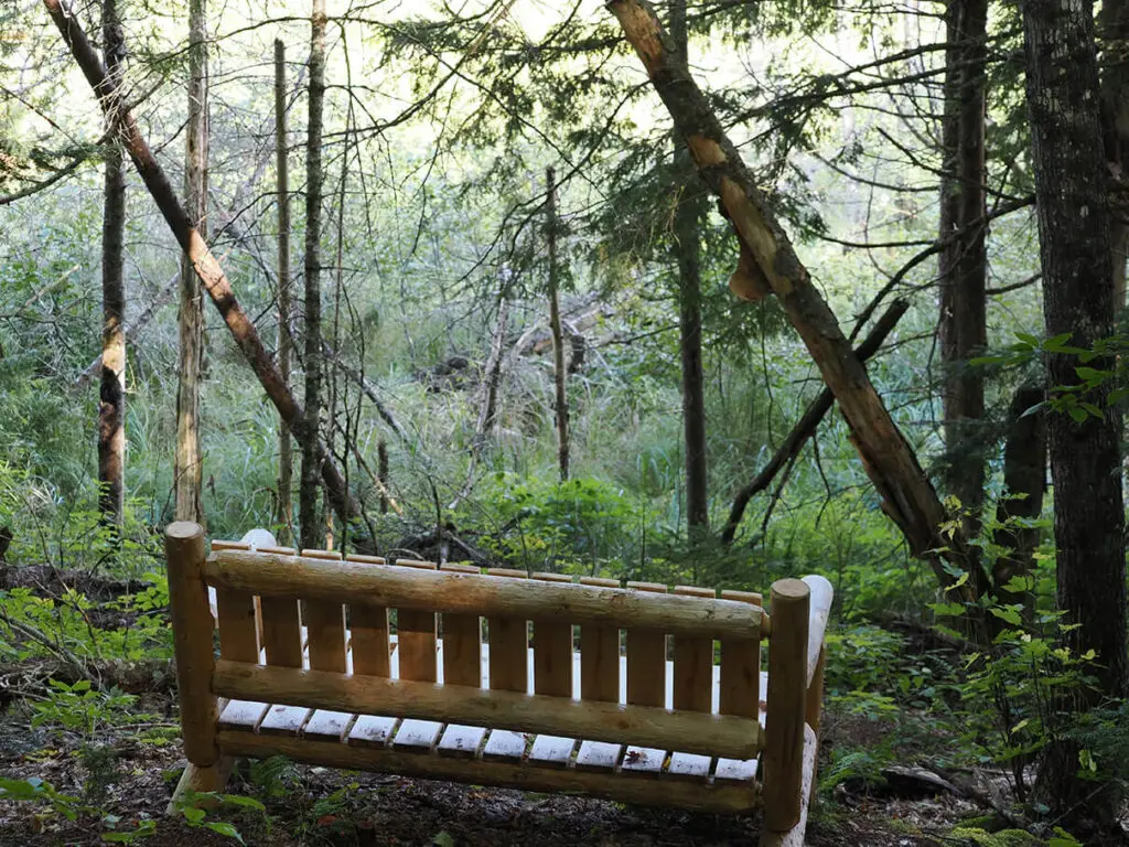 bench looking onto Aird Creek