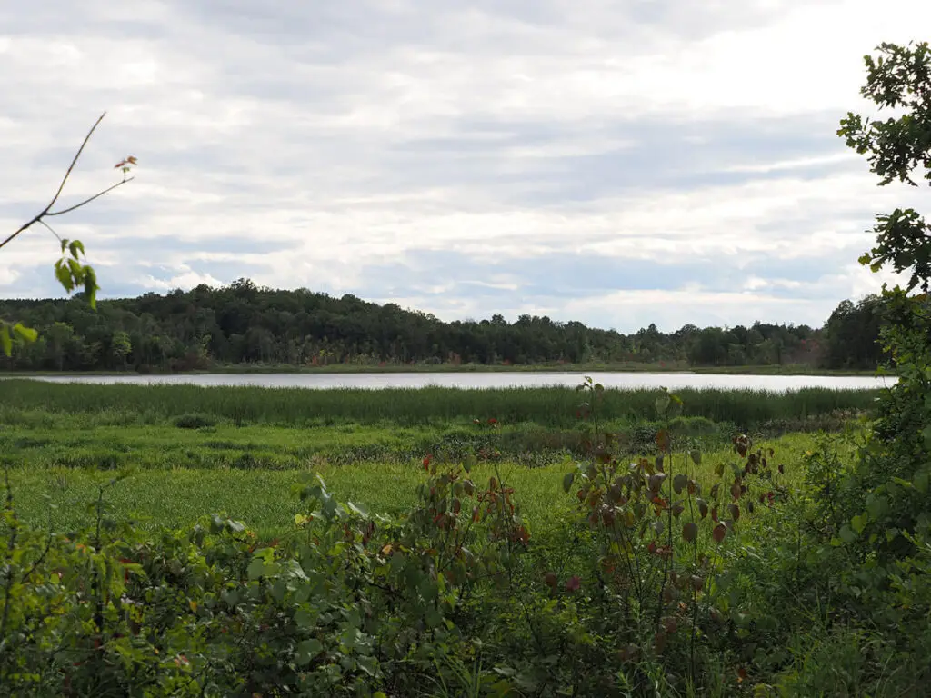 view of Arden Lake from the Trans Canada Trail